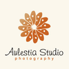 Aulestia Studio